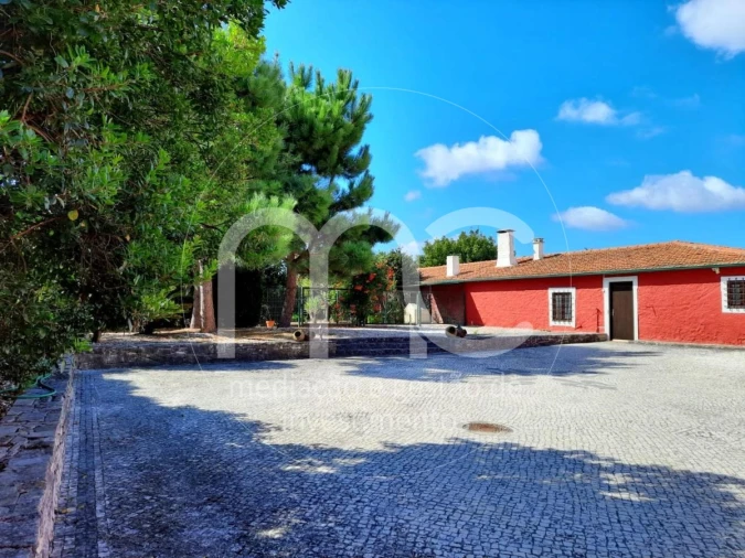 Quinta T10 para Venda em Louriçal Foto 36