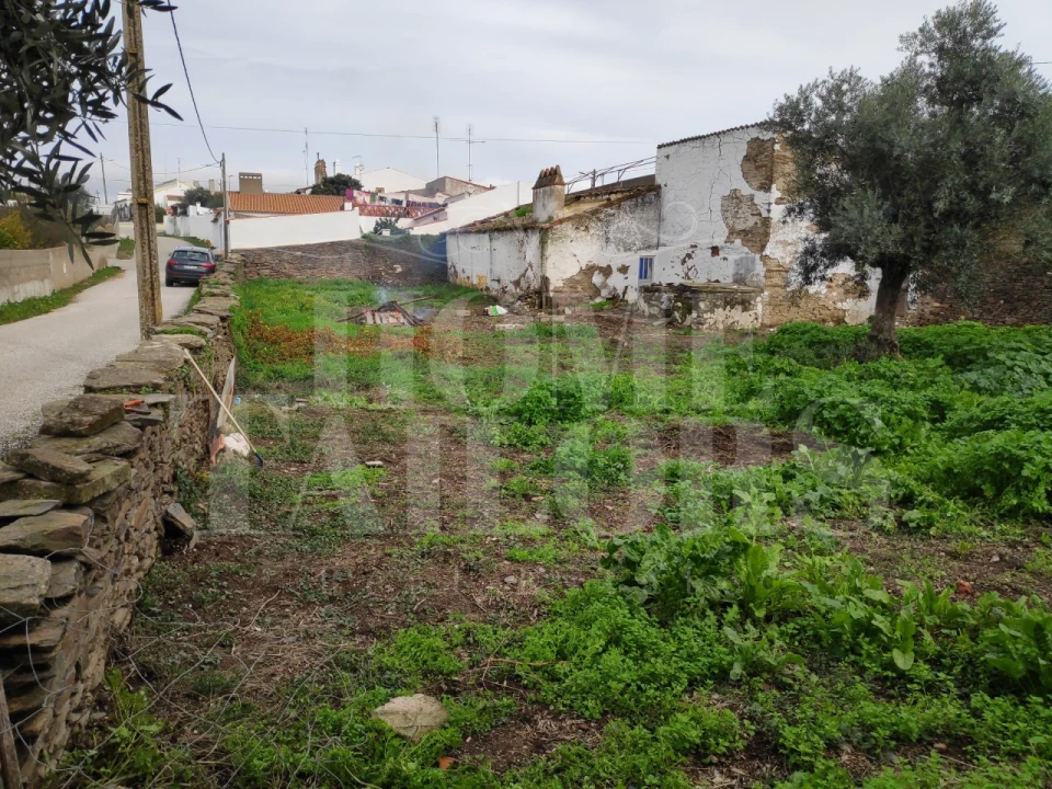 Moradia T1 para Venda em Veiros Foto 10