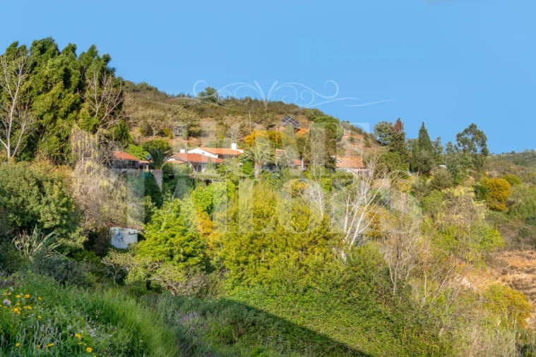 Quinta T16 para Venda em Santa Clara-A-Velha Foto 32