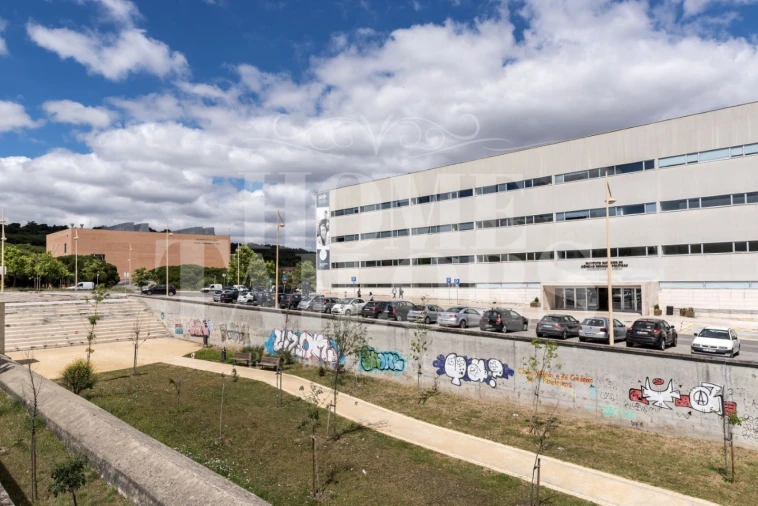 Terreno para Venda em Ajuda Foto 13