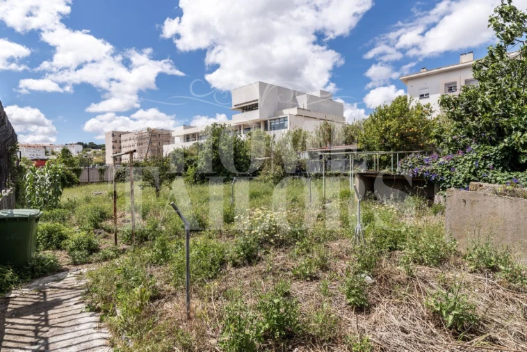 Terreno para Venda em Ajuda Foto 8