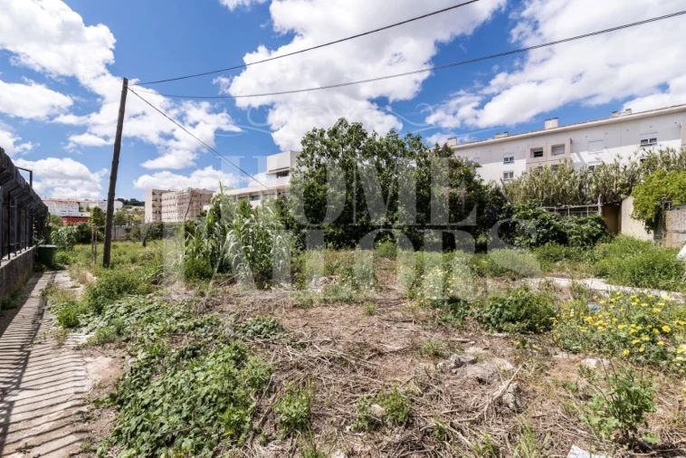 Terreno para Venda em Ajuda Foto 9