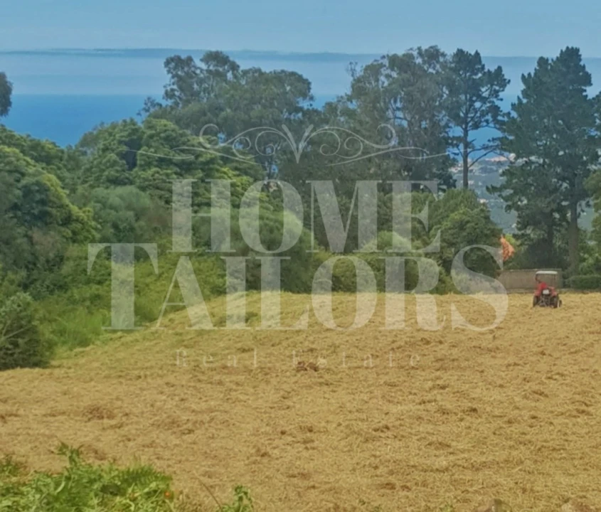 Terreno Agricola ou Rústico para Venda em Colares Foto 4