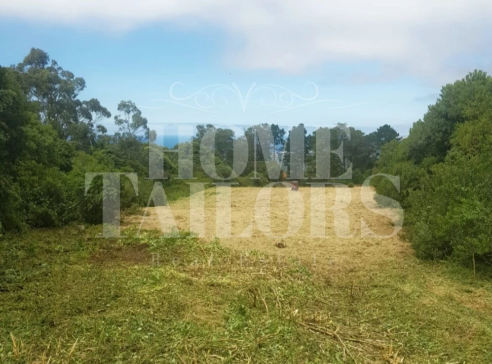 Terreno Agricola ou Rústico para Venda em Colares Foto 1