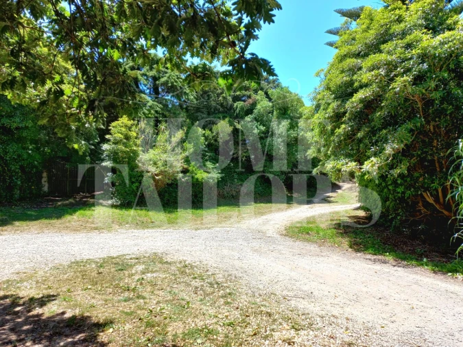 Terreno Agricola ou Rústico para Venda em Colares Foto 2
