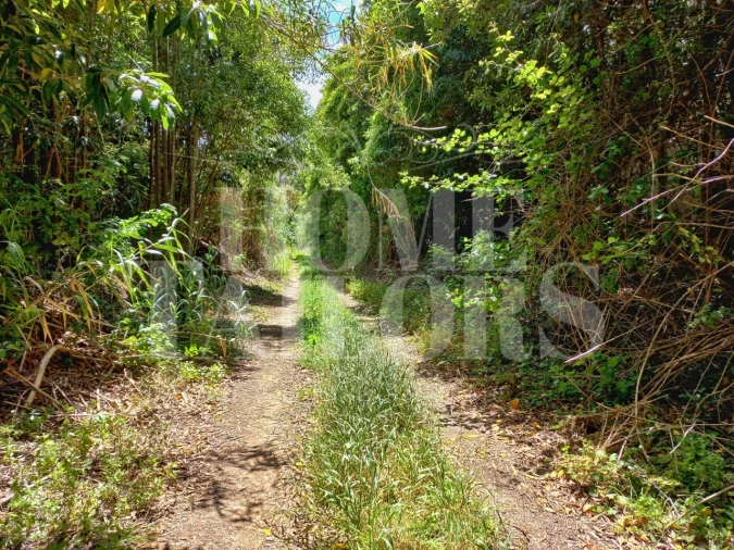 Terreno Agricola ou Rústico para Venda em Colares Foto 5
