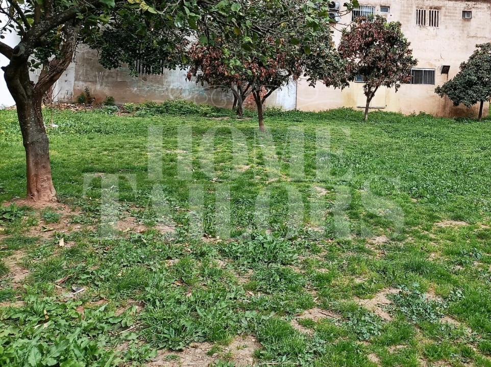 Terreno para Venda em Benfica Foto 13