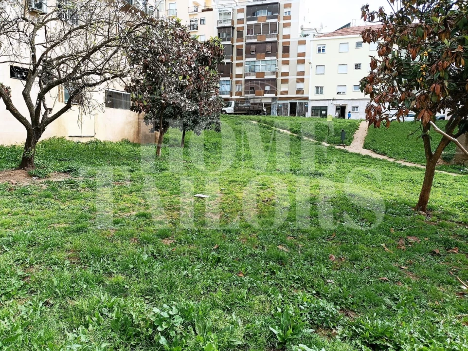 Terreno para Venda em Benfica Foto 14