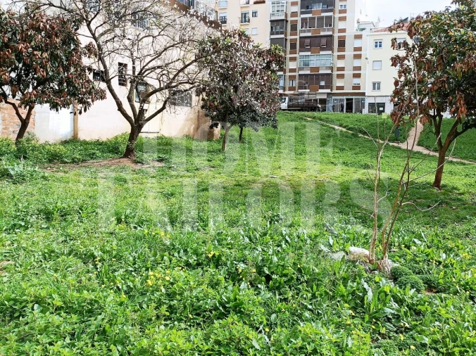 Terreno para Venda em Benfica Foto 4