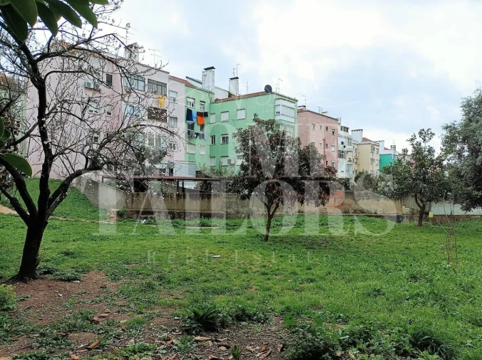 Terreno para Venda em Benfica Foto 5