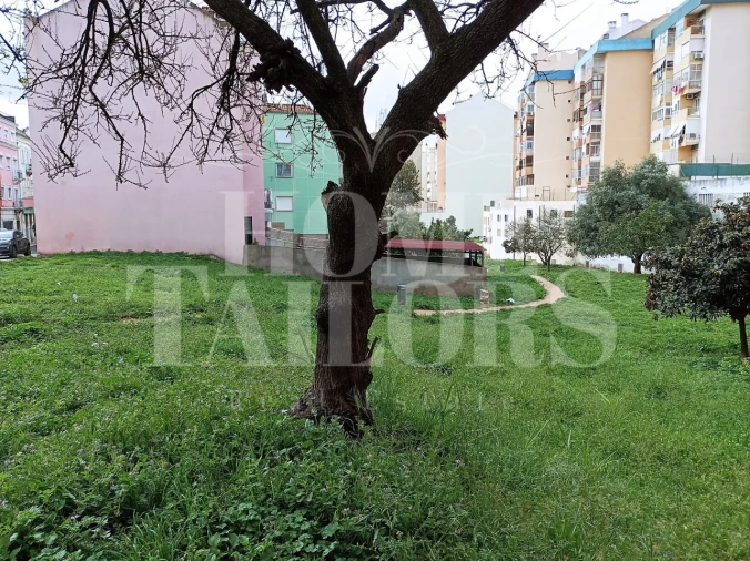 Terreno para Venda em Benfica Foto 2