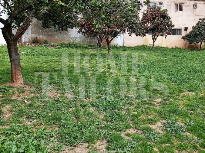Terreno para Venda em Benfica Foto 13