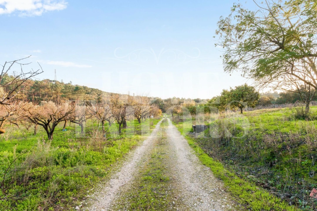 Moradia T5 para Venda em Aveiras de Baixo Foto 6
