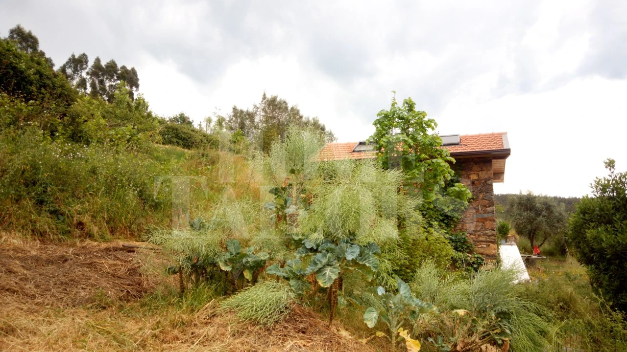 Terreno para Venda em Marmeleira Foto 10