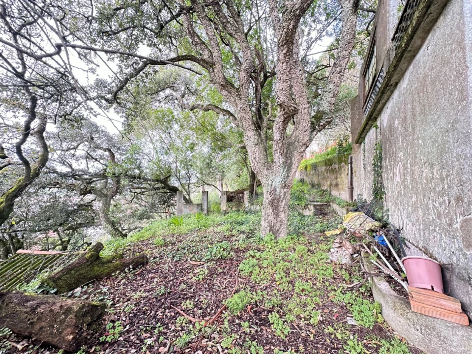 Moradia T8 para Venda em Venda do Pinheiro e Santo Estêvão das Galés Foto 16
