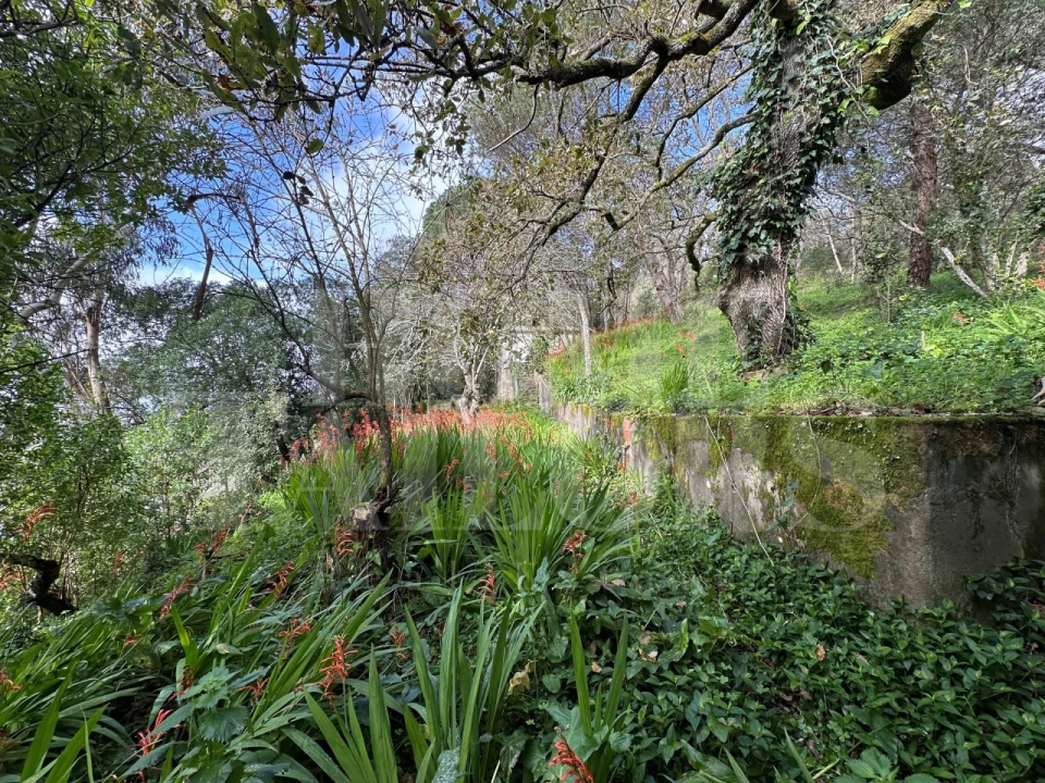 Moradia T8 para Venda em Venda do Pinheiro e Santo Estêvão das Galés Foto 21