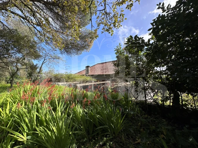 Moradia T8 para Venda em Venda do Pinheiro e Santo Estêvão das Galés Foto 22