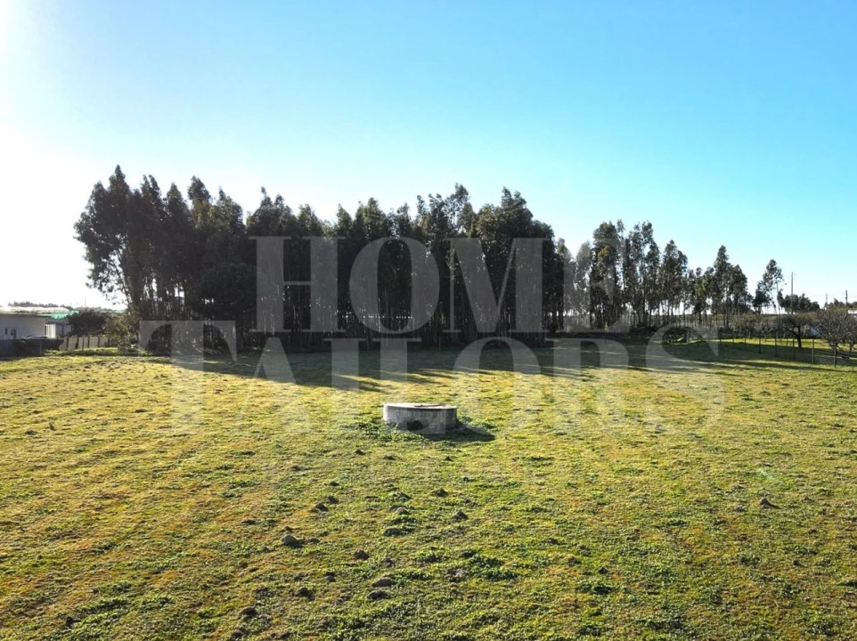 Moradia T3 para Venda em Silveira Foto 26