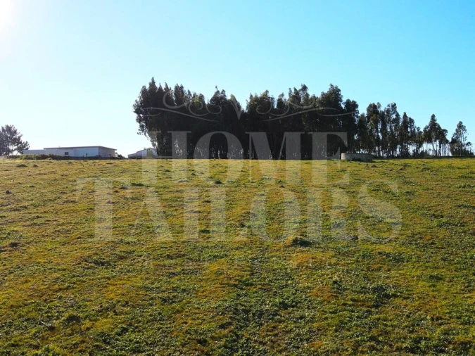 Moradia T3 para Venda em Silveira Foto 17