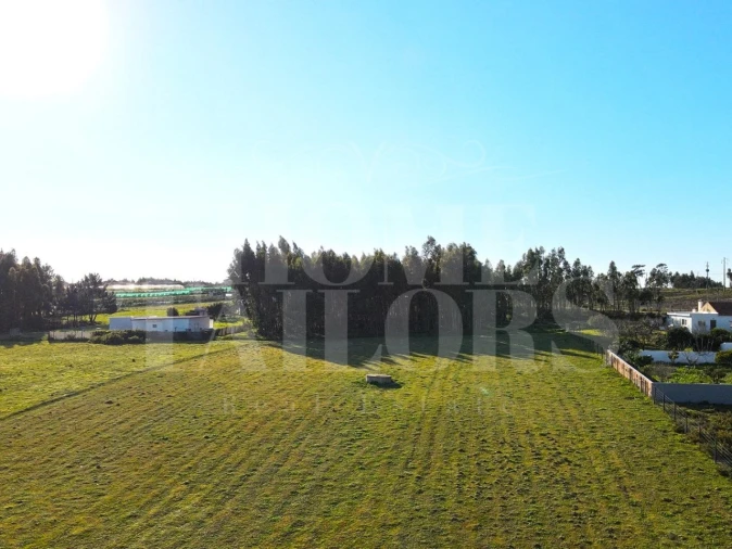 Moradia T3 para Venda em Silveira Foto 27