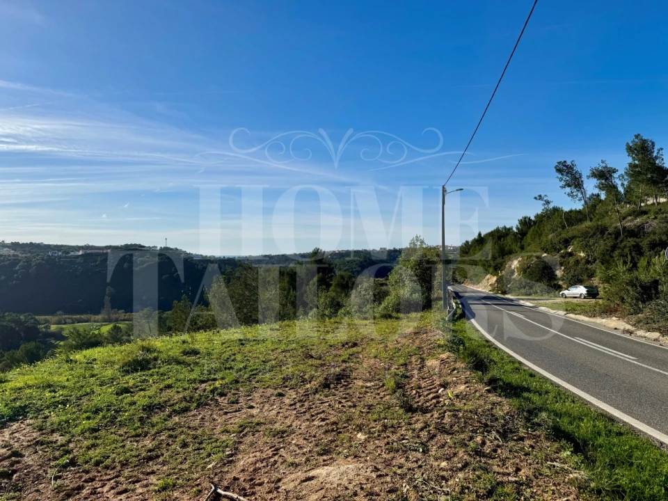 Terreno Agricola ou Rústico para Venda em Mafra Foto 1