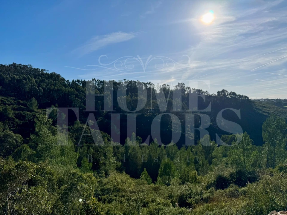 Terreno Agricola ou Rústico para Venda em Mafra Foto 4