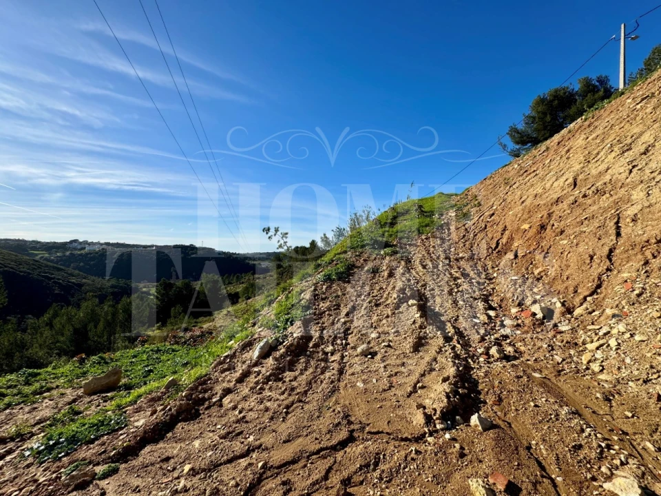 Terreno Agricola ou Rústico para Venda em Mafra Foto 6