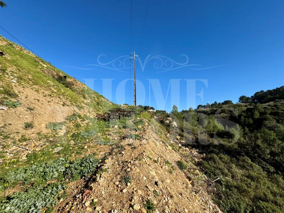 Terreno Agricola ou Rústico para Venda em Mafra Foto 7