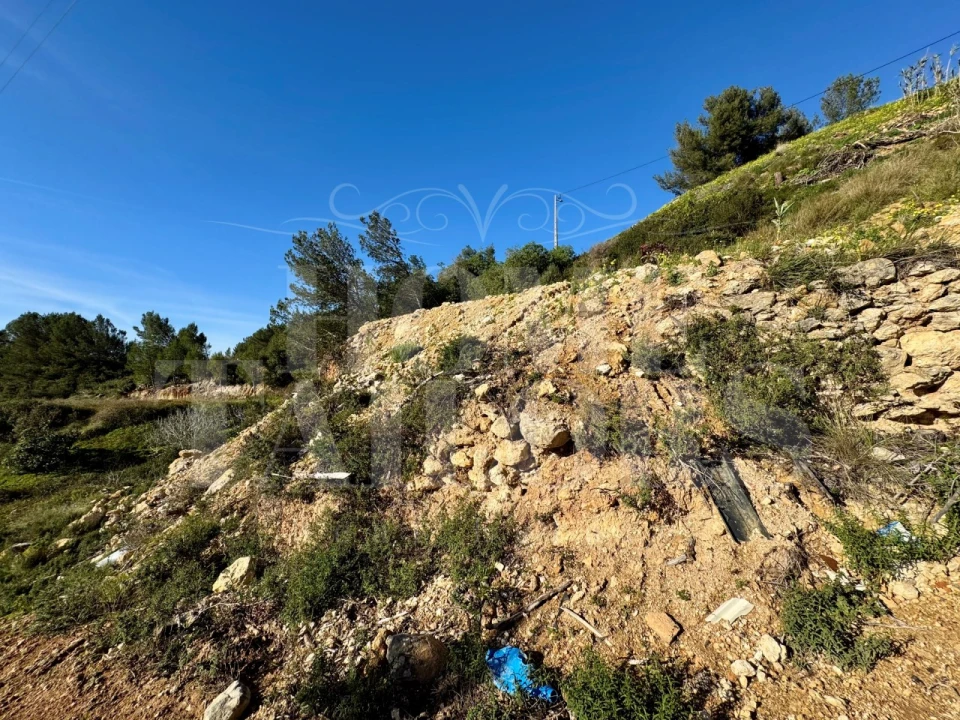 Terreno Agricola ou Rústico para Venda em Mafra Foto 9