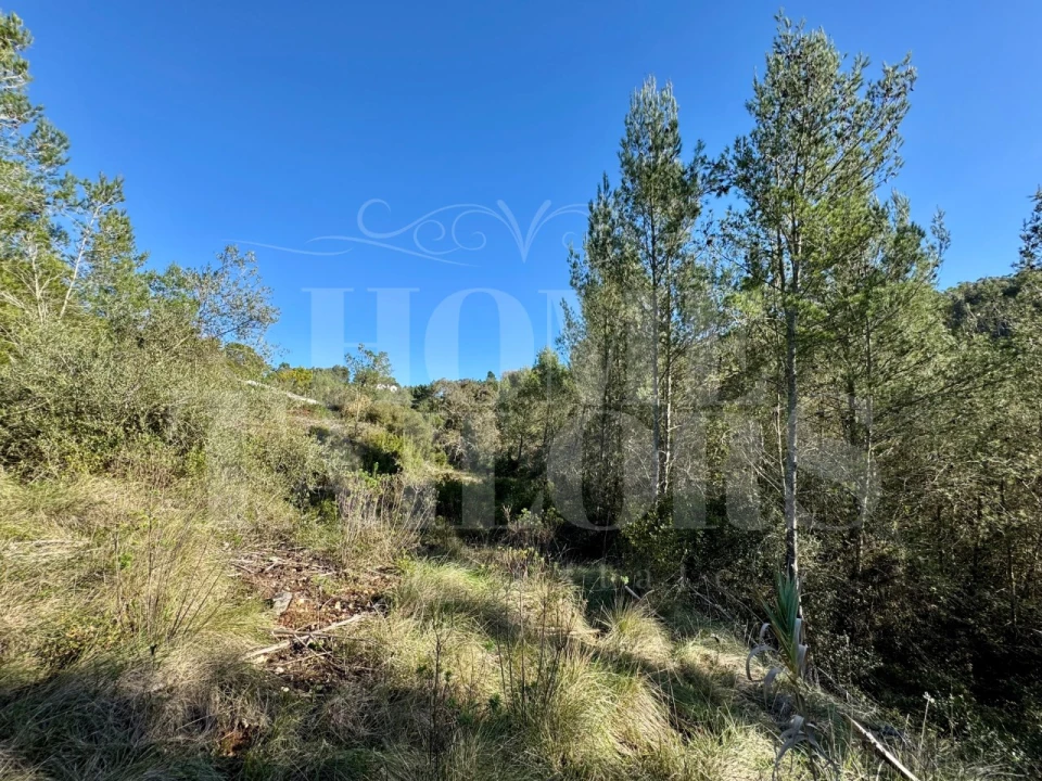 Terreno Agricola ou Rústico para Venda em Mafra Foto 10
