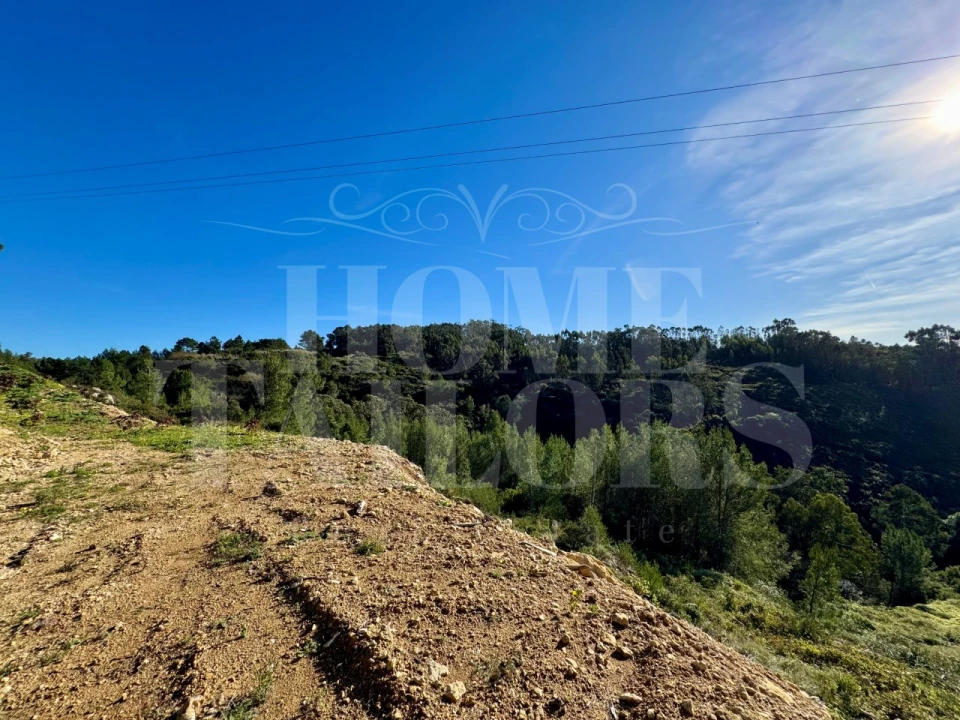 Terreno Agricola ou Rústico para Venda em Mafra Foto 22