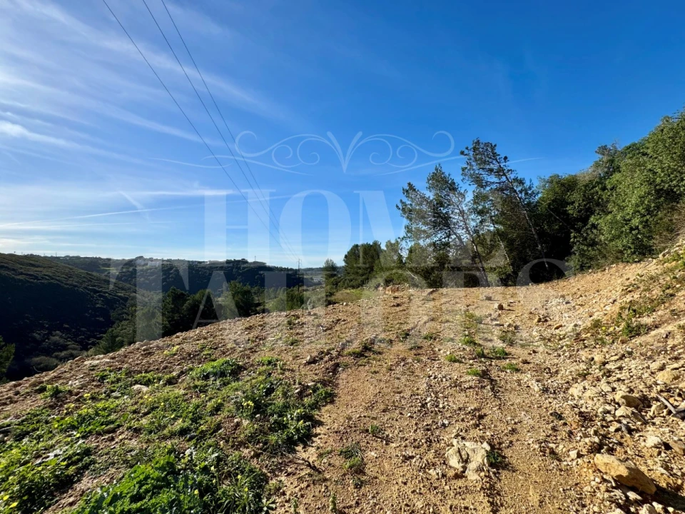 Terreno Agricola ou Rústico para Venda em Mafra Foto 26