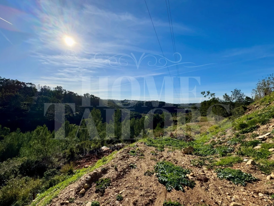 Terreno Agricola ou Rústico para Venda em Mafra Foto 27