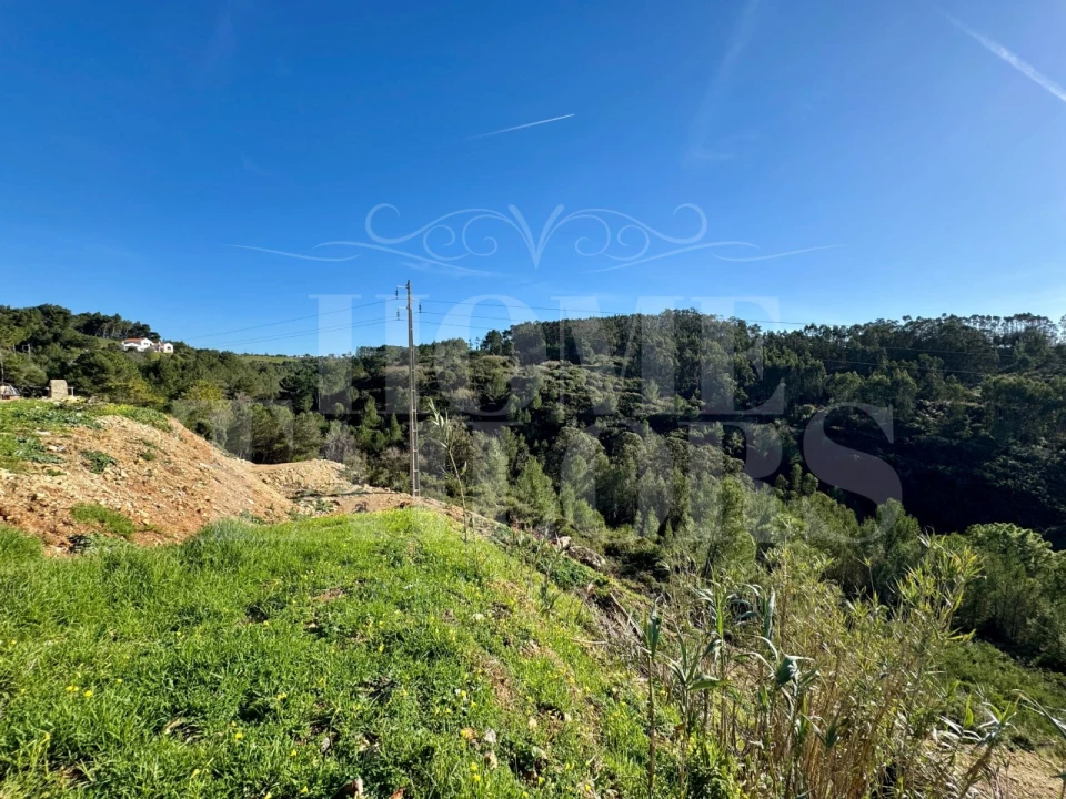 Terreno Agricola ou Rústico para Venda em Mafra Foto 30