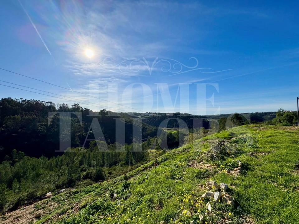 Terreno Agricola ou Rústico para Venda em Mafra Foto 33