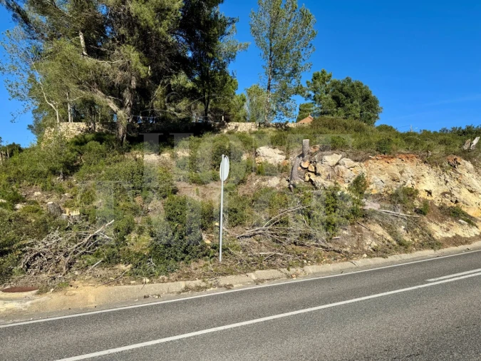 Terreno Agricola ou Rústico para Venda em Mafra Foto 5