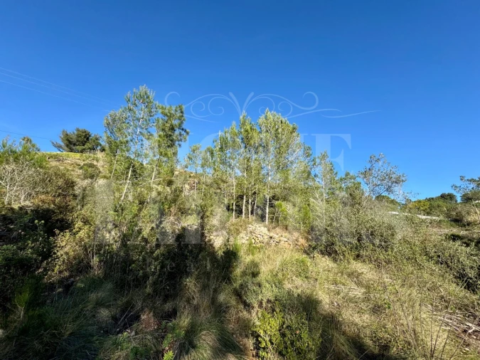 Terreno Agricola ou Rústico para Venda em Mafra Foto 8
