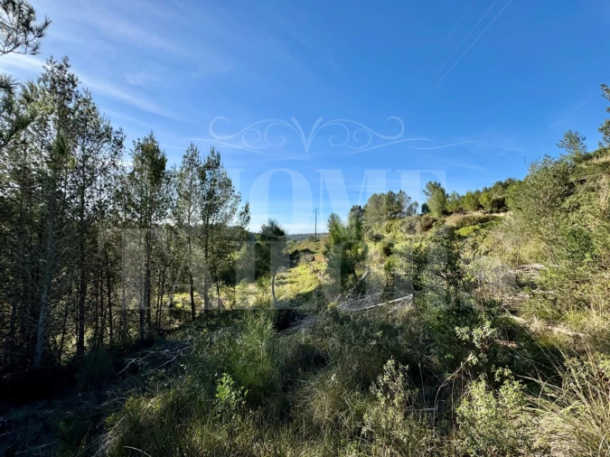 Terreno Agricola ou Rústico para Venda em Mafra Foto 14