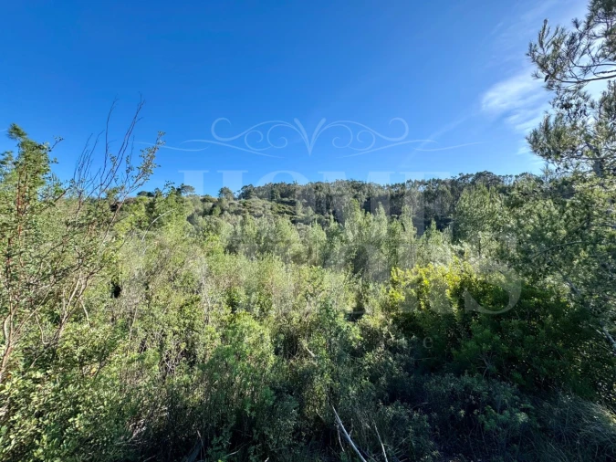 Terreno Agricola ou Rústico para Venda em Mafra Foto 15