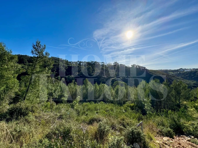 Terreno Agricola ou Rústico para Venda em Mafra Foto 16