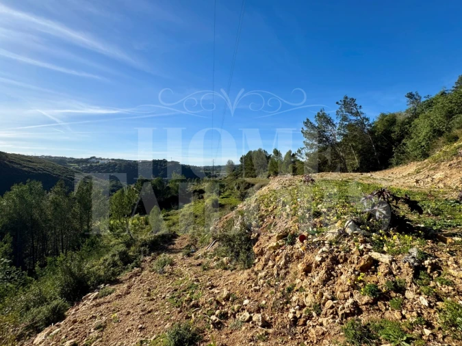 Terreno Agricola ou Rústico para Venda em Mafra Foto 17