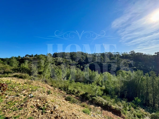 Terreno Agricola ou Rústico para Venda em Mafra Foto 18