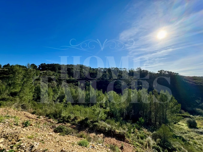 Terreno Agricola ou Rústico para Venda em Mafra Foto 19