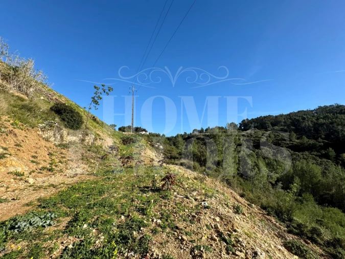 Terreno Agricola ou Rústico para Venda em Mafra Foto 21