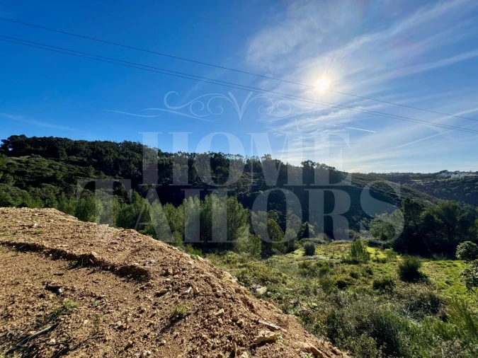 Terreno Agricola ou Rústico para Venda em Mafra Foto 23