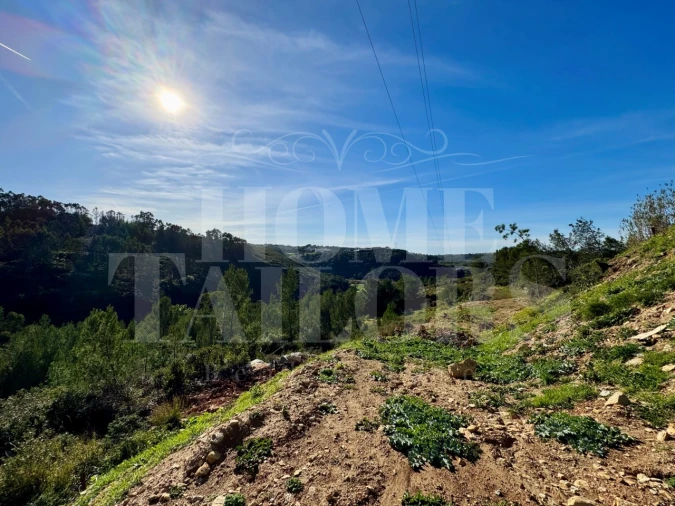 Terreno Agricola ou Rústico para Venda em Mafra Foto 27