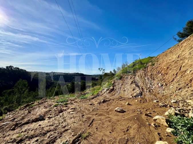 Terreno Agricola ou Rústico para Venda em Mafra Foto 28