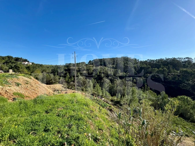 Terreno Agricola ou Rústico para Venda em Mafra Foto 30