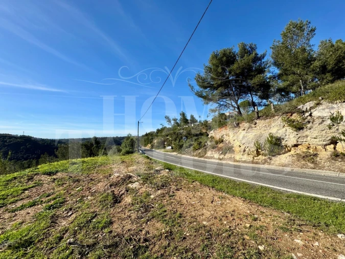 Terreno Agricola ou Rústico para Venda em Mafra Foto 34