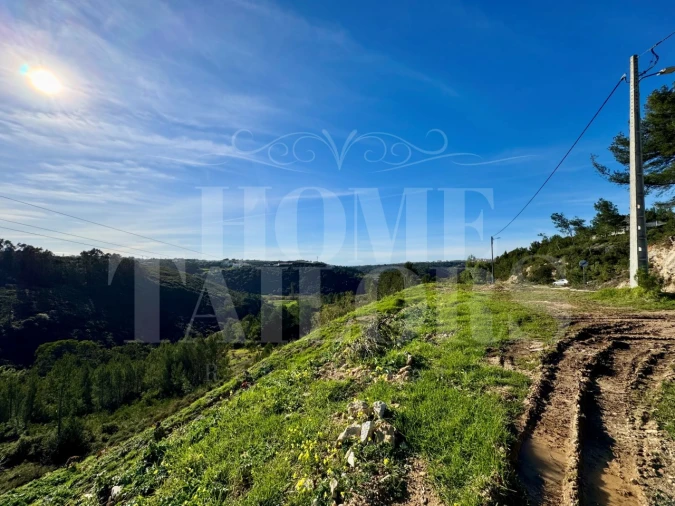 Terreno Agricola ou Rústico para Venda em Mafra Foto 3